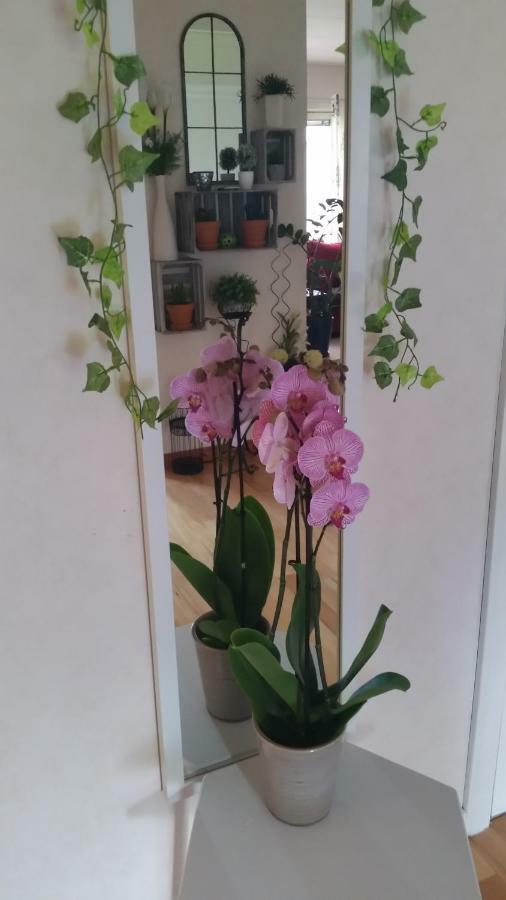 B&B Mora Esterno foto